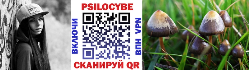 даркнет сайт  Микунь  Псилоцибиновые грибы Cubensis 