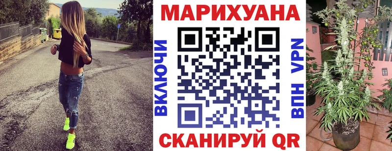 нарко площадка состав  магазин продажи наркотиков  Микунь  Бошки марихуана сатива 